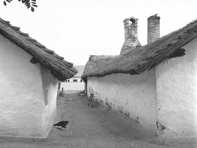 Wallern, Bauernhuser