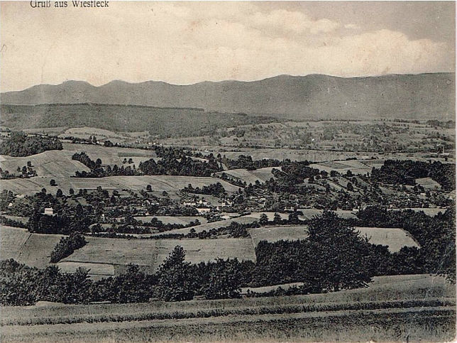 Wiesfleck, Panorama
