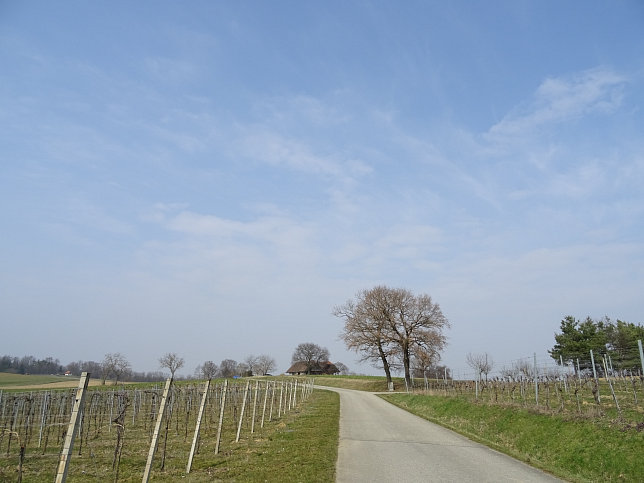 Dt. Bieling, Geiderbergrunde