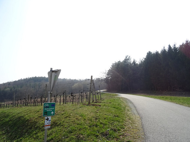 Dt. Bieling, Geiderbergrunde