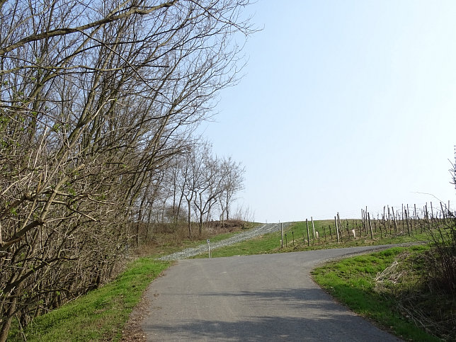 Dt. Bieling, Geiderbergrunde