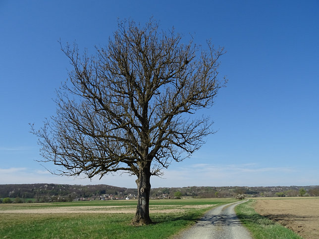 Verbindungsweg Dt. Bieling-Hagensdorf