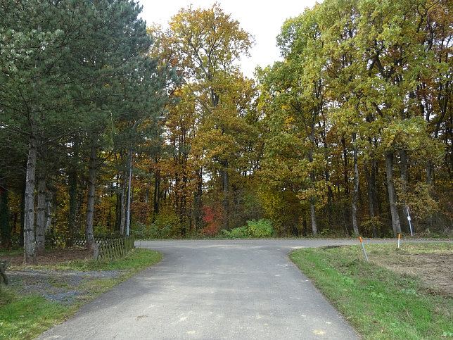 Dt. Ehrensdorf - 4 W Runde (Wald Wiese Wein Walking)