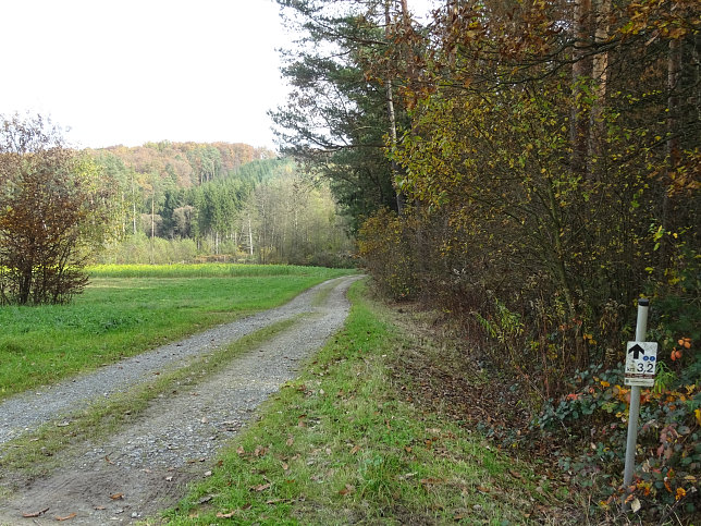 Dt. Ehrensdorf - 4 W Runde (Wald Wiese Wein Walking)