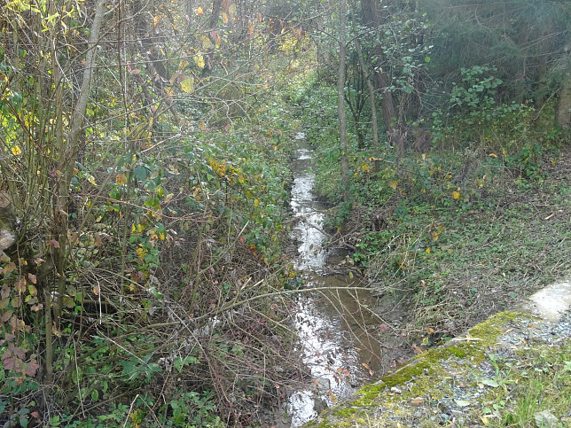 Dt. Ehrensdorf - 4 W Runde (Wald Wiese Wein Walking)