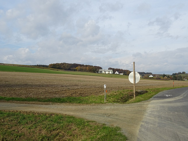 Dt. Ehrensdorf - 4 W Runde (Wald Wiese Wein Walking)