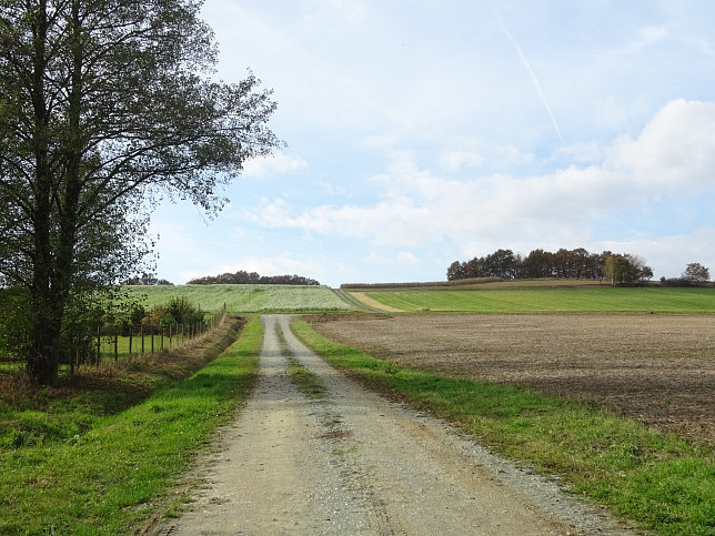 Dt. Ehrensdorf - 4 W Runde (Wald Wiese Wein Walking)