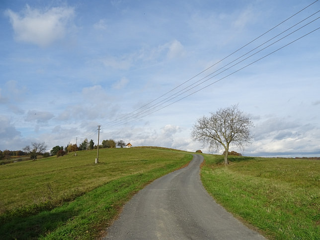 Dt. Ehrensdorf - 4 W Runde (Wald Wiese Wein Walking)