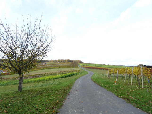 Dt. Ehrensdorf - 4 W Runde (Wald Wiese Wein Walking)