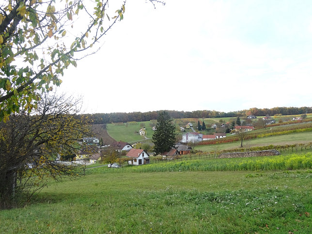 Dt. Ehrensdorf - 4 W Runde (Wald Wiese Wein Walking)