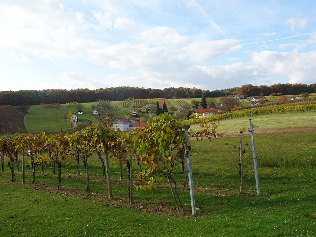 Dt. Ehrensdorf - 4 W Runde (Wald Wiese Wein Walking)