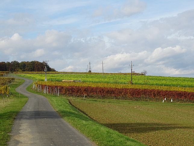 Dt. Ehrensdorf - 4 W Runde (Wald Wiese Wein Walking)