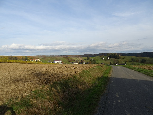 Dt. Ehrensdorf - 4 W Runde (Wald Wiese Wein Walking)