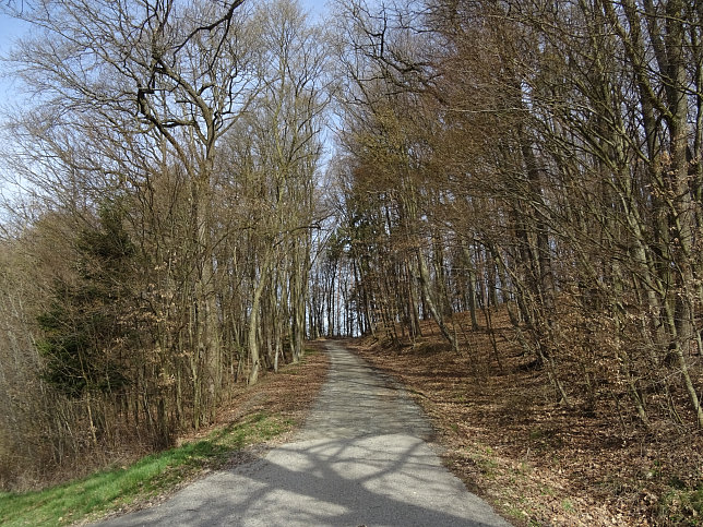 Rundwanderung Eltendorf - Knigsdorf