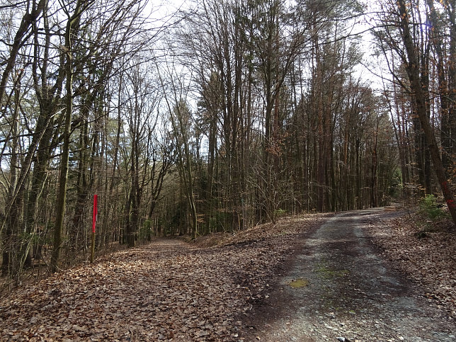 Rundwanderung Eltendorf - Knigsdorf
