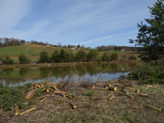 Rundwanderung Eltendorf - Knigsdorf