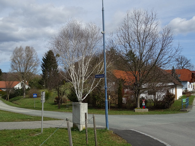 Rundwanderung Eltendorf - Knigsdorf