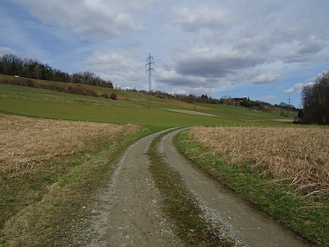 Rundwanderung Eltendorf - Knigsdorf