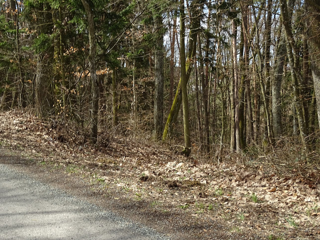 Rundwanderung Eltendorf - Knigsdorf