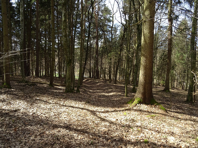 Rundwanderung Eltendorf - Knigsdorf
