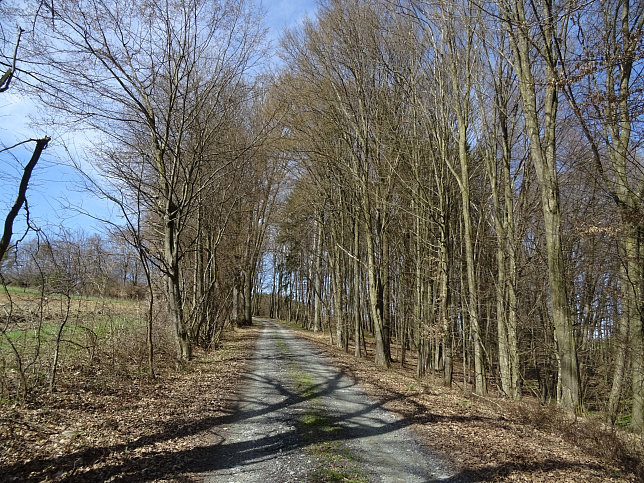 Rundwanderung Eltendorf - Knigsdorf