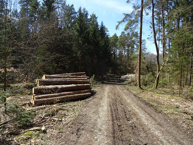 Rundwanderung Eltendorf - Knigsdorf