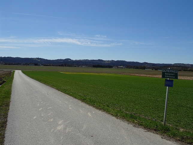 Rundwanderung Eltendorf - Knigsdorf