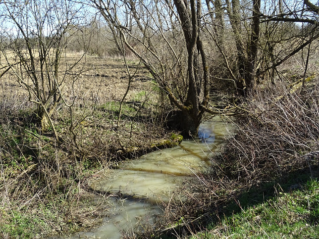 Rundwanderung Eltendorf - Knigsdorf