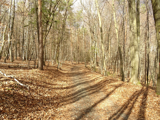 Gerersdorf - Berg- & Waldweg