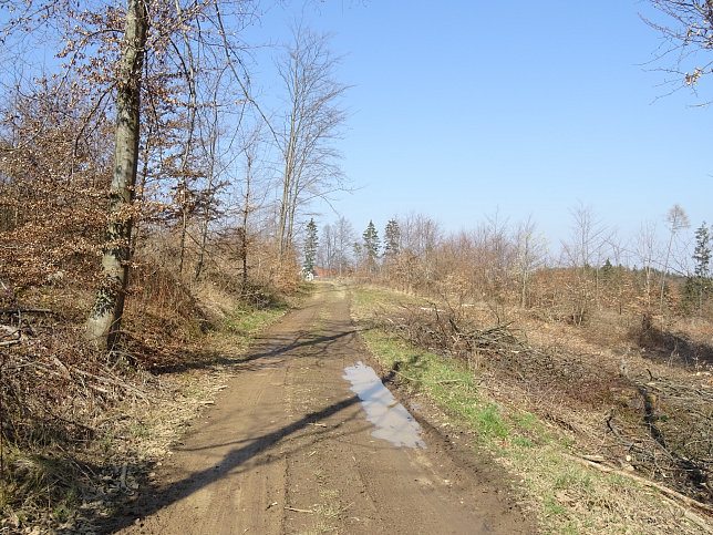 Gerersdorf - Wald- & Wiesenwanderweg
