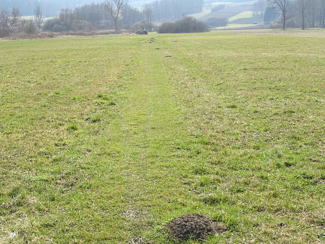 Gerersdorf - Wald- & Wiesenwanderweg