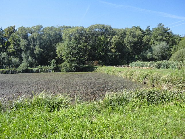 Urbersdorf, Stausee