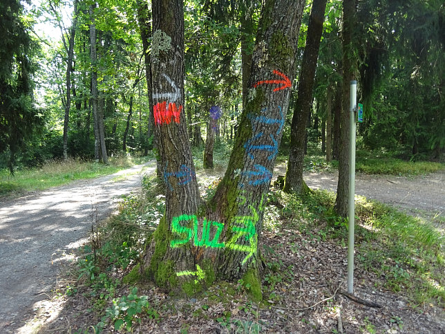 Gssing - Koglroas