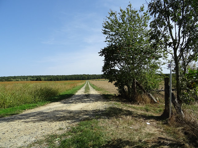 Gssing - ko-Energieweg