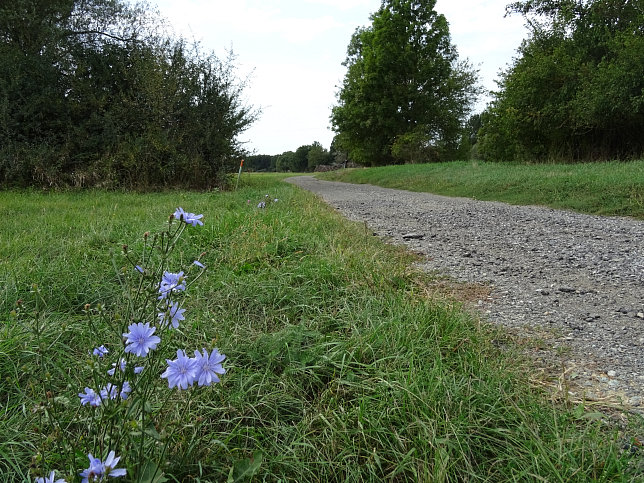 Güssing - Öko-Energieweg