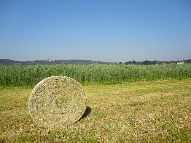 Güssing - Ramsar Rundweg