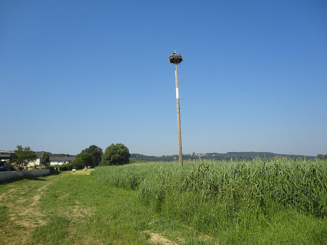 Güssing - Ramsar Rundweg