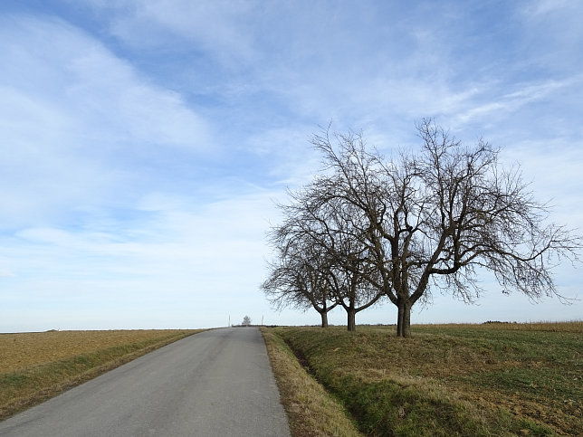 Hagensdorf - Schachblumen-Runde