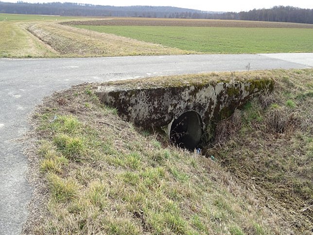 Hagensdorf - Schachblumen-Runde