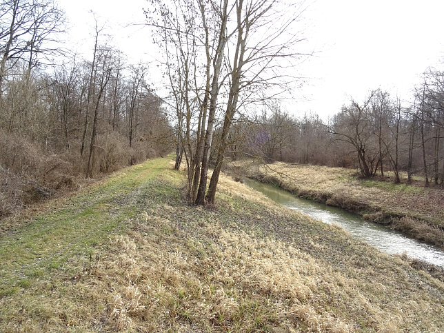 Hagensdorf - Schachblumen-Runde