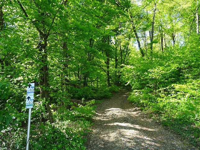 Heiligenbrunn - Wald-Runde