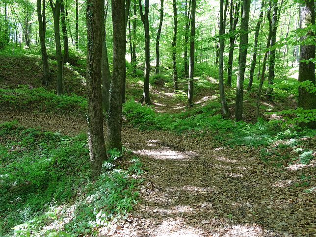 Heiligenbrunn - Wald-Runde