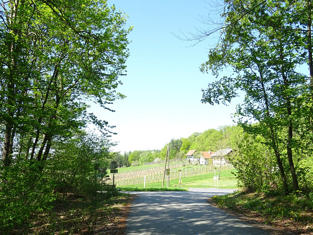 Heiligenbrunn - Wald-Runde