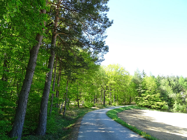 Heiligenbrunn - Wald-Runde