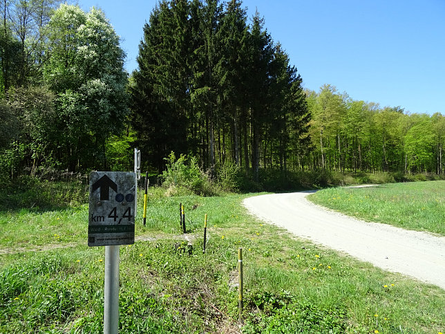 Heiligenbrunn - Wald-Runde