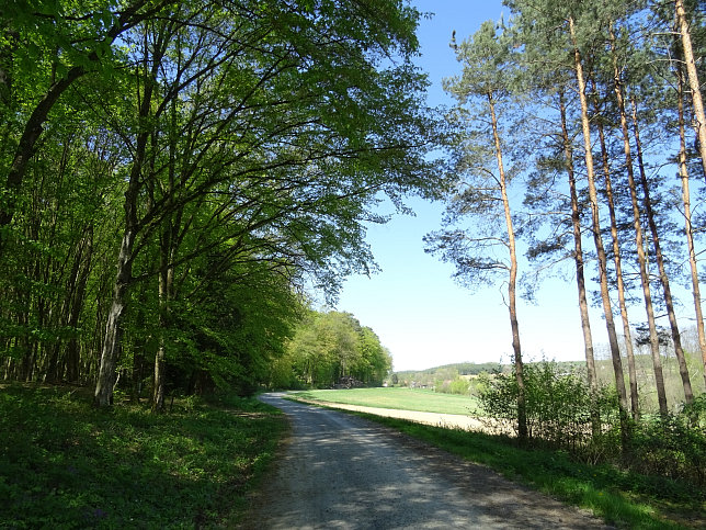 Heiligenbrunn - Wald-Runde