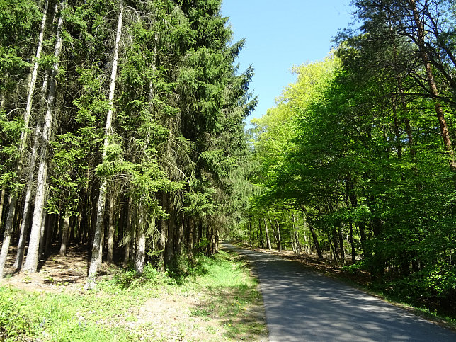 Heiligenbrunn - Wald-Runde