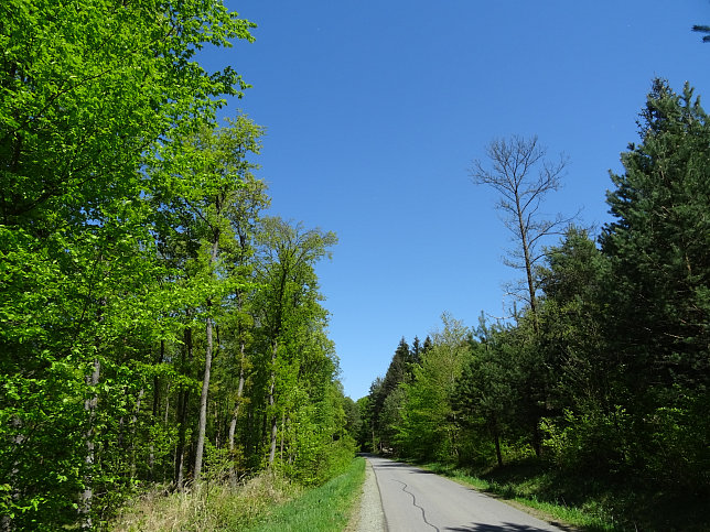 Heiligenbrunn - Wald-Runde