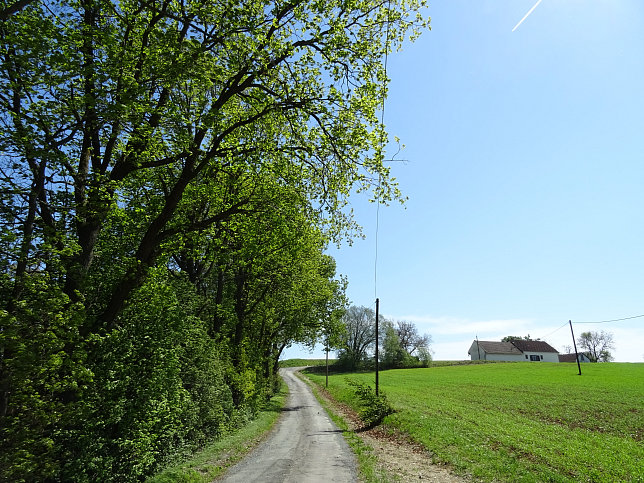 Heiligenbrunn - Wald-Runde