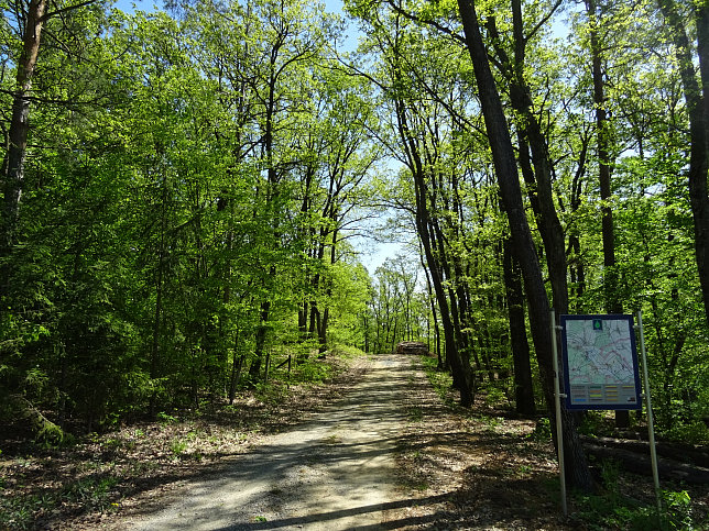 Heiligenbrunn - Wald-Runde